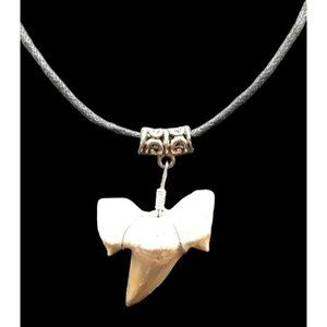 Shark Tooth Fossil Necklace 22" Adjustable Black Cord Chain